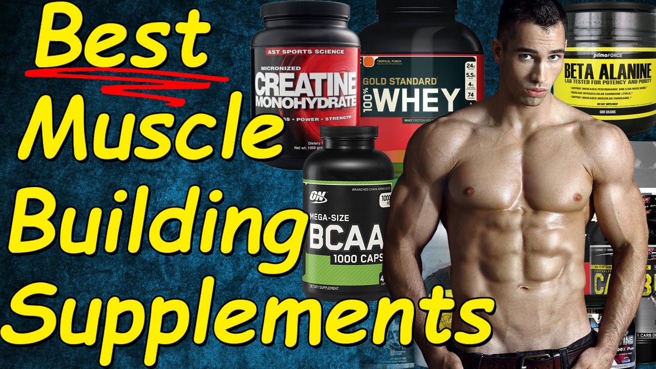 Best Muscle Building Supplements Ehotbuzz 6022