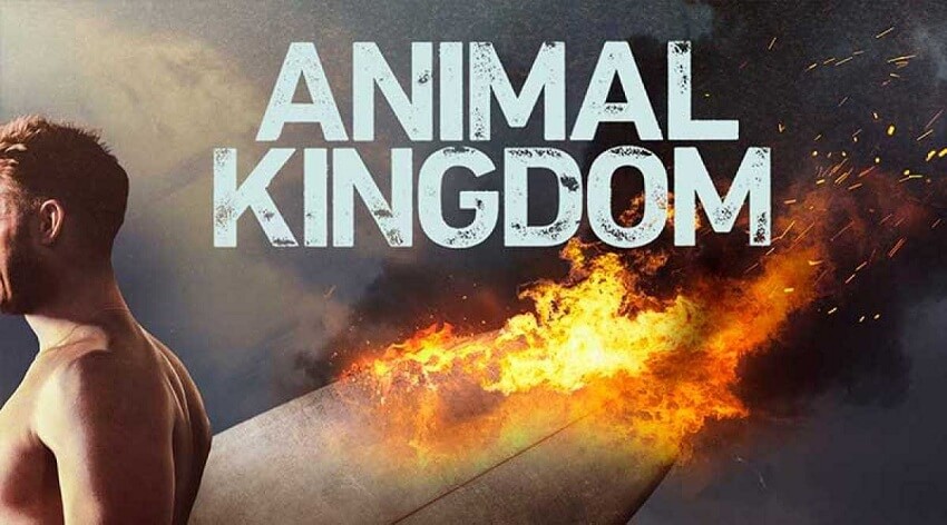 Animal Kingdom Season 5 Release Date [Updated] - EHotBuzz