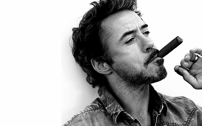Latest Upcoming Movies List Of Robert Downey Jr 4