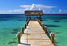 Best Beaches In Goa