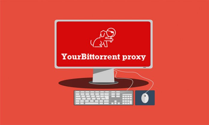 your bit torrent