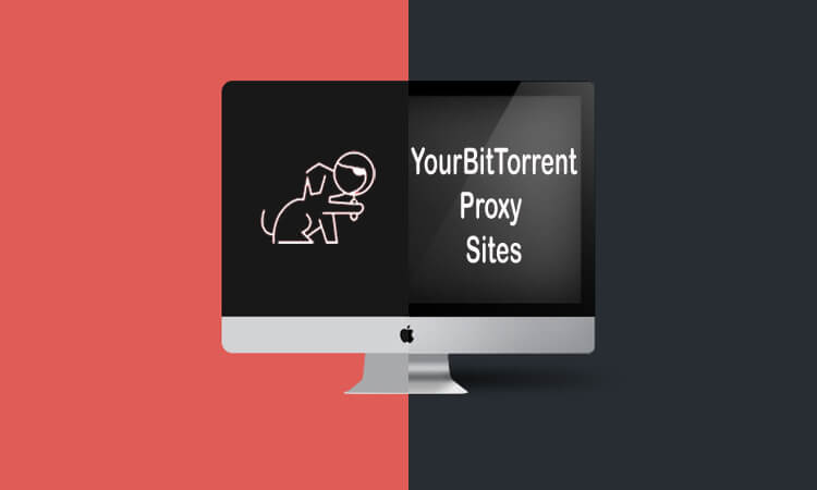 YourBittorrent Proxy