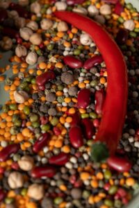 top 5 protein-rich vegetarian foods