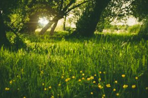 Best ways to reduce cortisol naturally at home