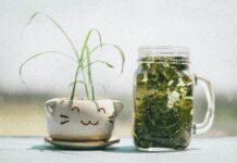 Top 5 Herbal Teas to Reduce Cortisol, Belly Fat and Improve Skin Brightness Naturally