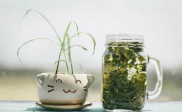 Top 5 Herbal Teas to Reduce Cortisol, Belly Fat and Improve Skin Brightness Naturally